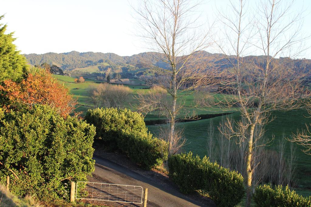 Birds Eye View Bed And Breakfast Waihi Bagian luar foto