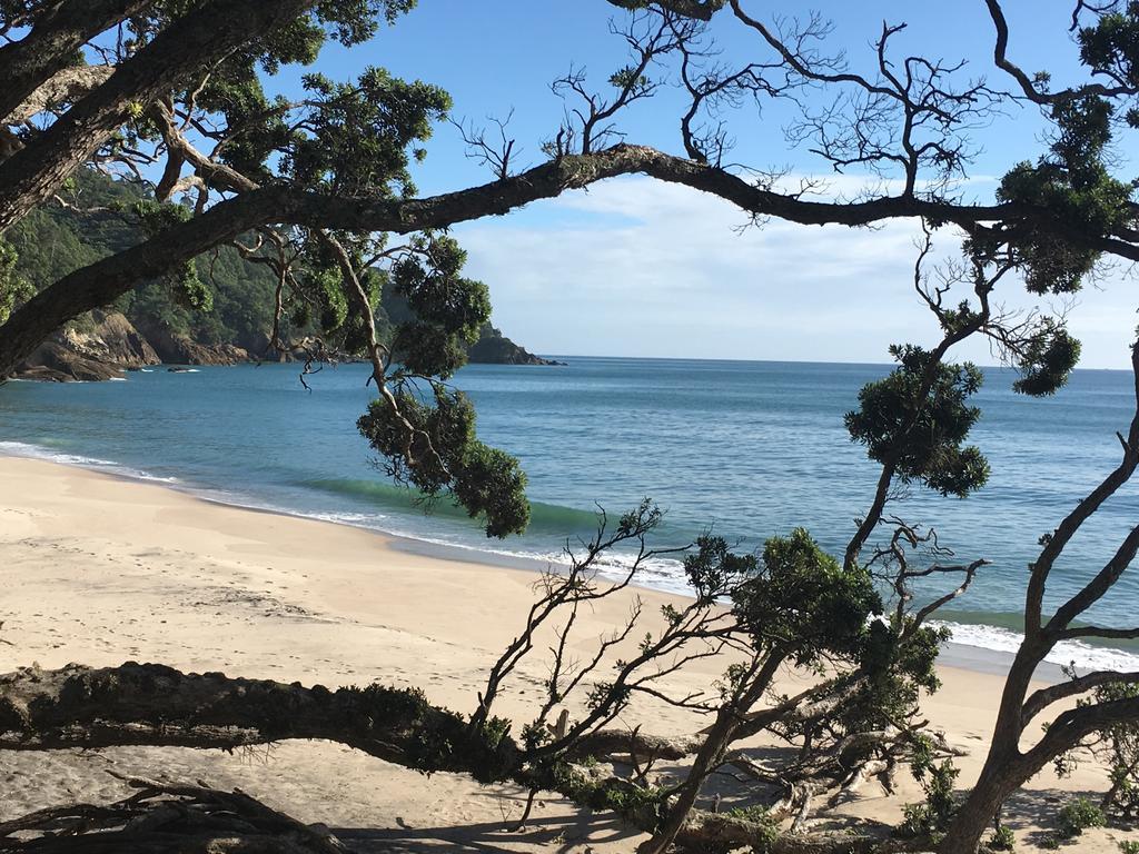 Birds Eye View Bed And Breakfast Waihi Bagian luar foto