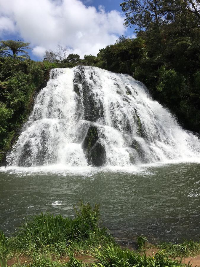 Birds Eye View Bed And Breakfast Waihi Bagian luar foto