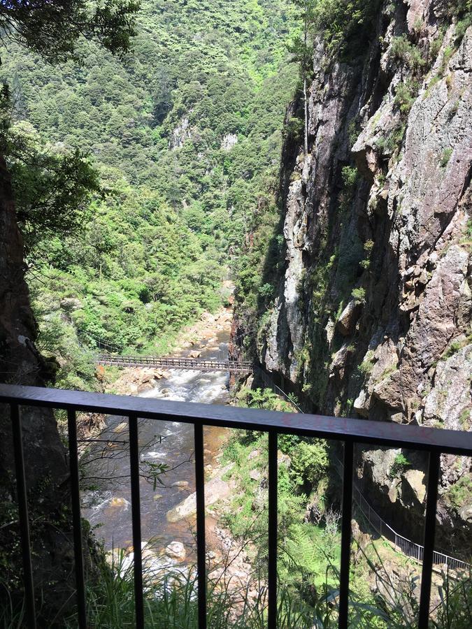 Birds Eye View Bed And Breakfast Waihi Bagian luar foto